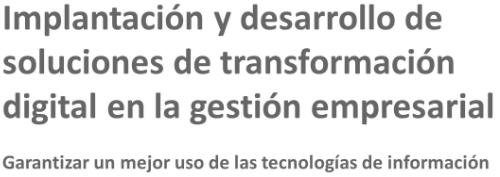 Implantación y desarrollo de soluciones de transformación digital den gestión empresarial